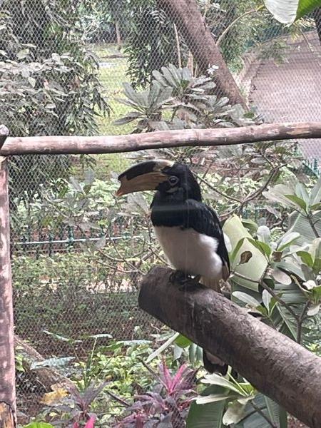 zoo mumbai