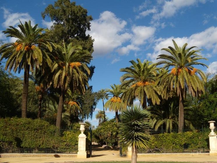 Jardines de Murillo