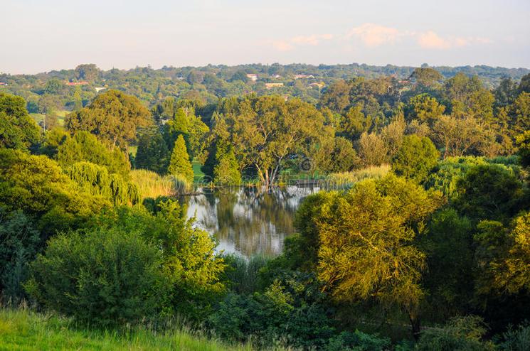 Paysage arboré au coeur de la ville