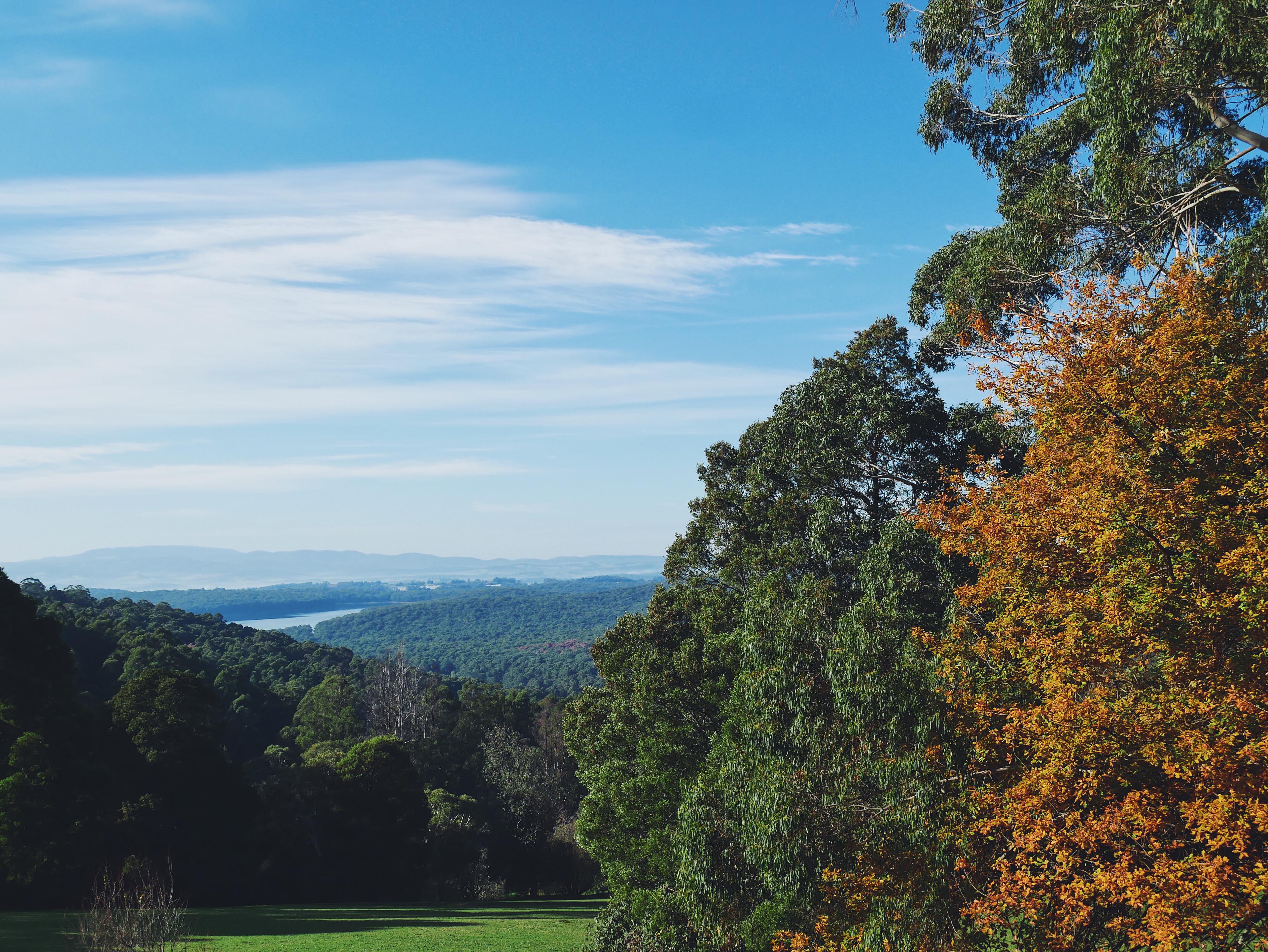 Dandenong ranges national park melbourne victoria