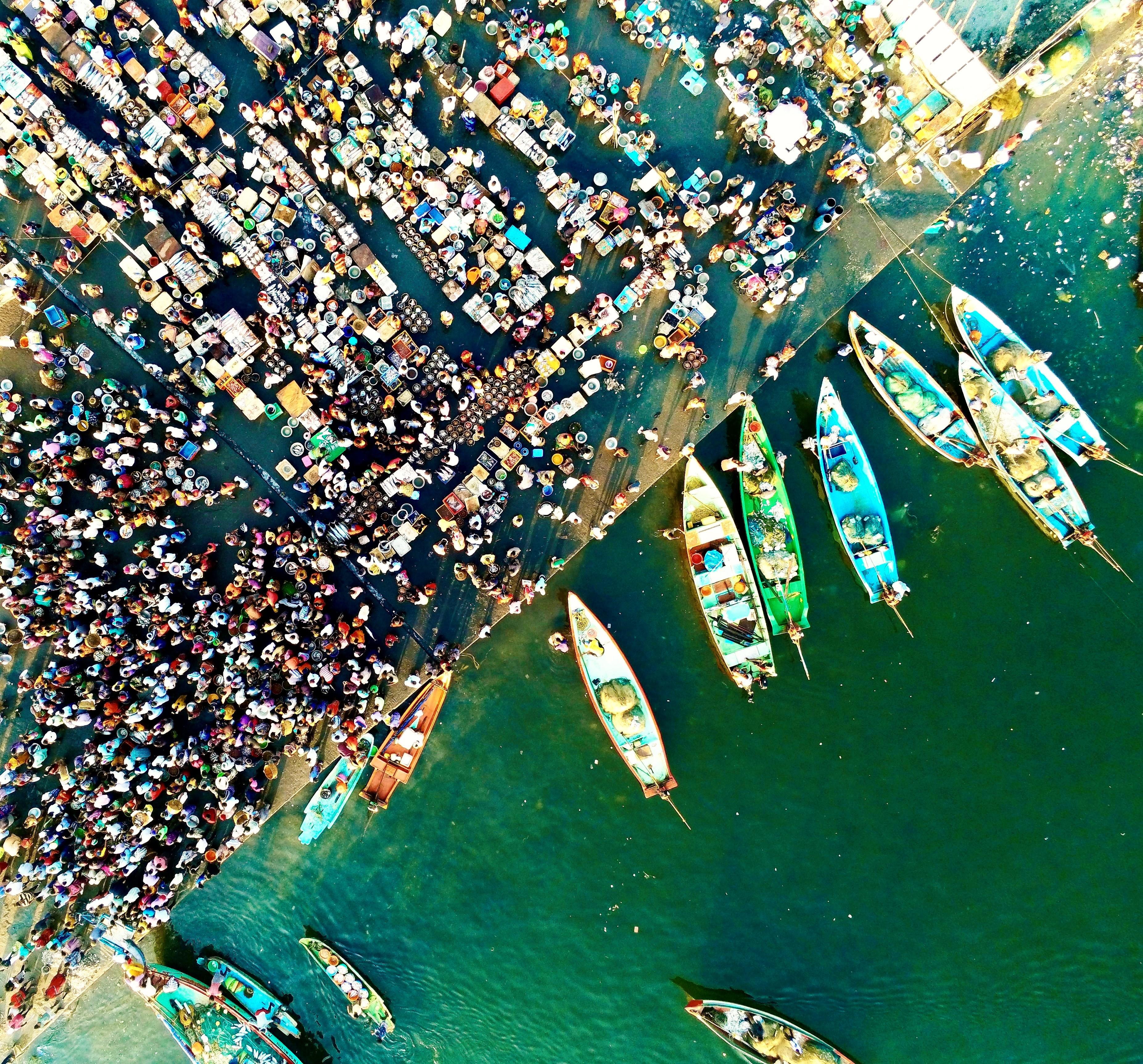 kasimedu market chennai fish poissons india inde 