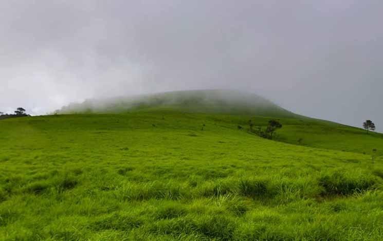 Khnang Phsa mountain also lies over the border between Kampong Speu and Koh Kong provinces. Photo provided by Choun Phirom.