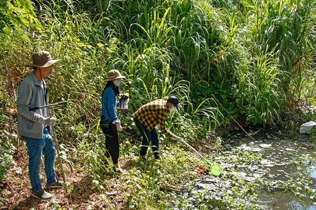 L’IRD étudie l’impact de la mousson sur la santé publique au Cambodge 