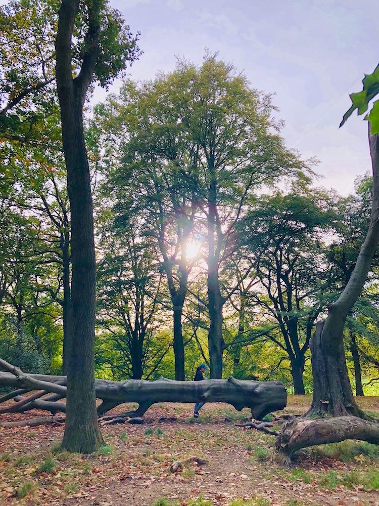 Londres première ville verte parc national au monde