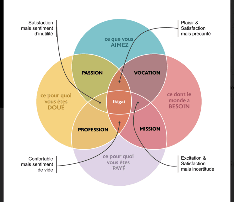 methode ikigai