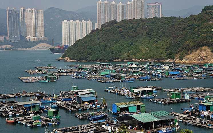 Le village sur l'eau à Ma Wan Hong Kong