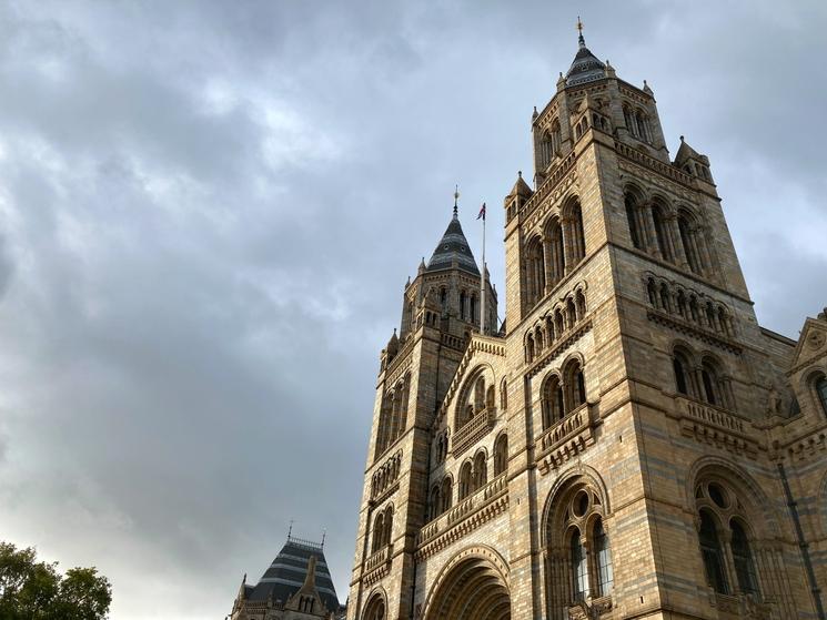 Musée Histoire Naturelles Londres