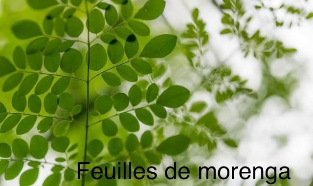 Feuilles de moringa