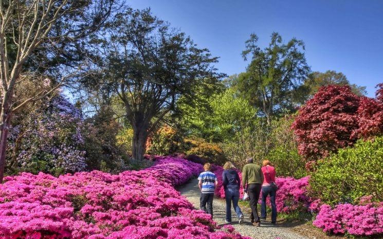 Mount Congreve Gardens, Co. Waterford