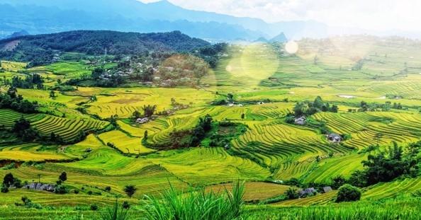 Mount Pu Ta Leng, Bát Xát District, Lao Cai, Vietnam