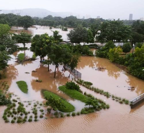 La zone de Aarey forest de Mumbai inondée en 2019