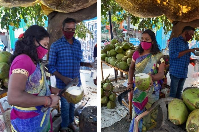 Chitra décalottant une noix de coco