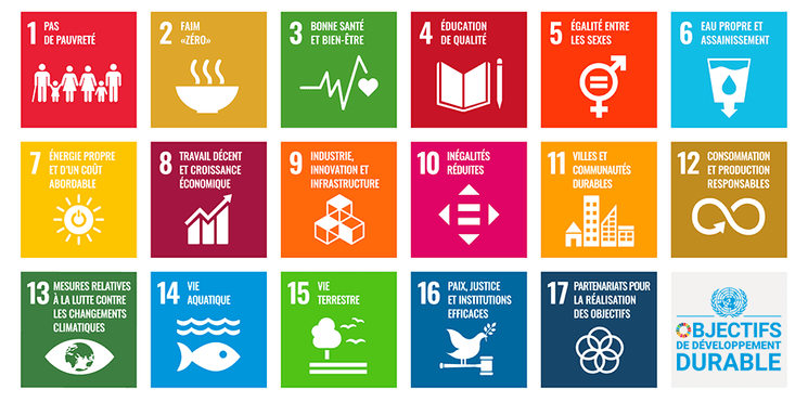 Objectifs de développement durable de l'ONU