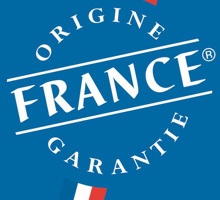 Logo Origine France Garantie 