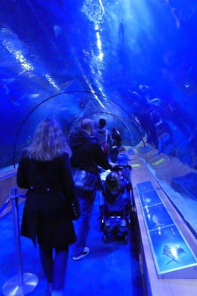 L'Oceanografic de Valencia Valence Esapgne