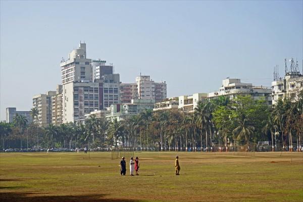 Makar Sankranti Pongal cerf-volant