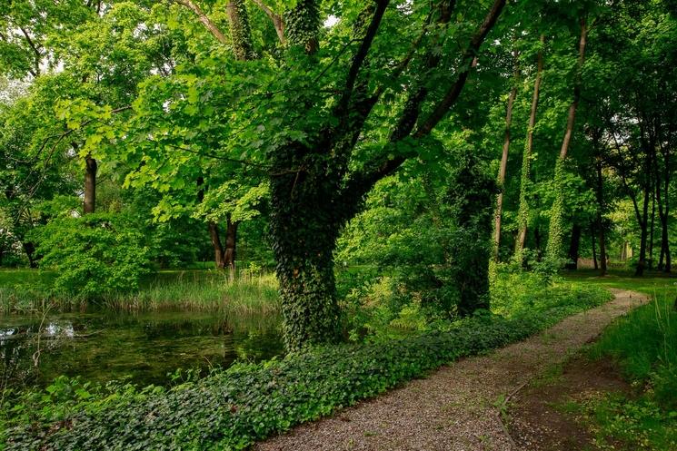 lake zolwin parc palace poland polska 