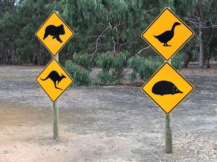 Panneaux de signalisation typiquement australiens