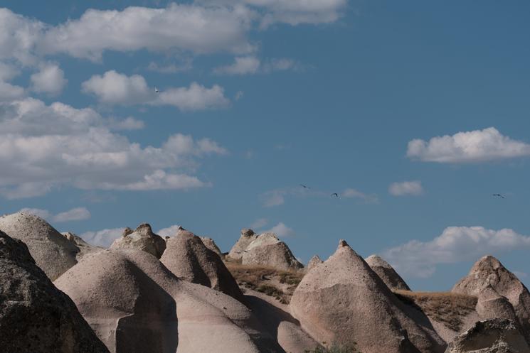 Cappadoce cheval