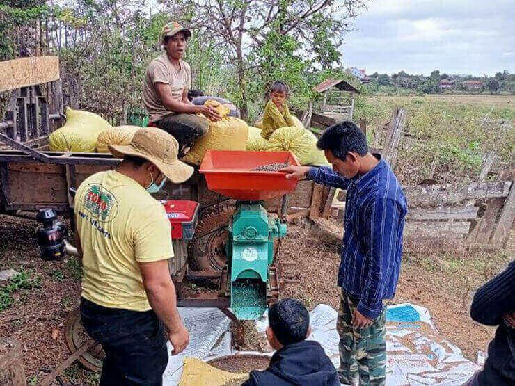 Producteurs de café Bunong 