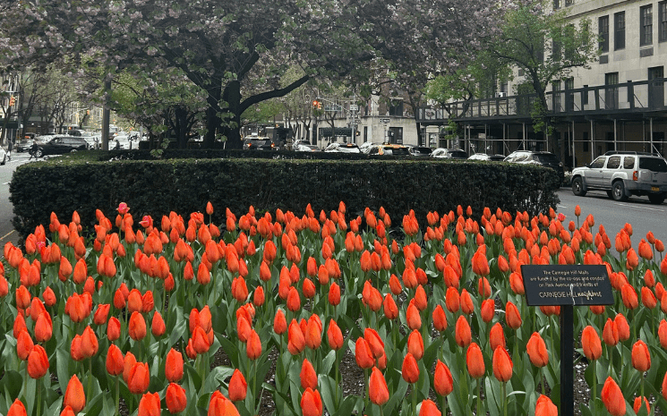 Que voir, que faire à carnegie hill