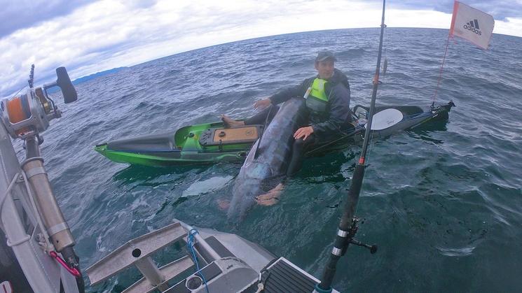 marlin pêche nouvelle zélande