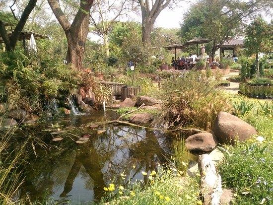 Nursery avec tables du restaurant au loin