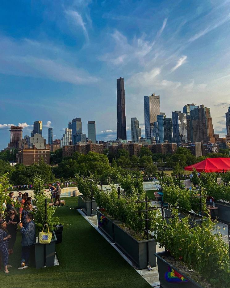 rooftops bars New York