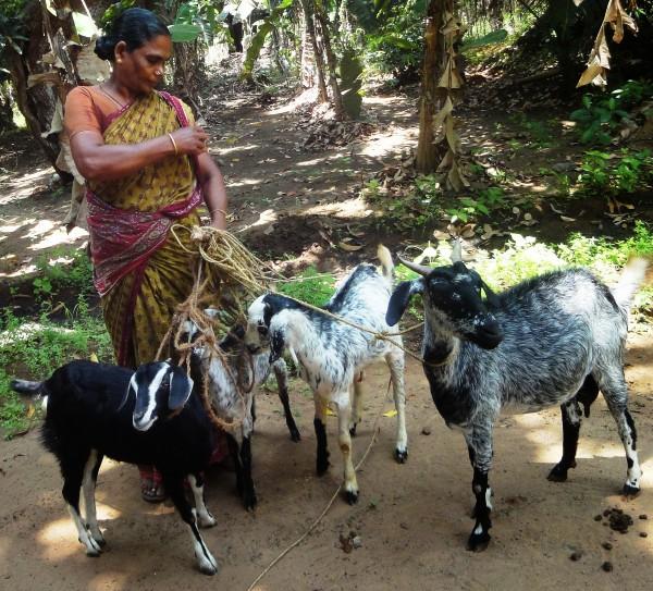 Self Help group India