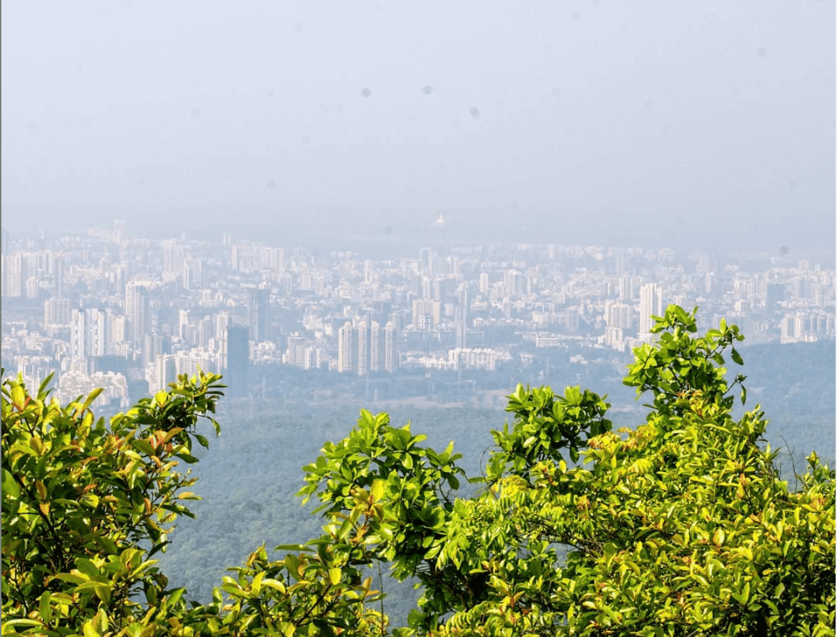 Sanjay Gandhi National Park