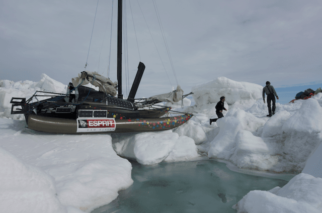  Eric André voile arctique