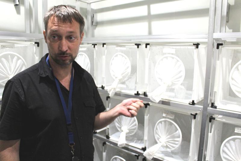 Sébastien Royer présente l'élevage des moustiques étudiées. Photo P.F