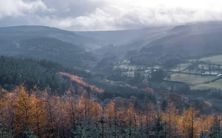 Slieve Bloom Mountains in the Autumn