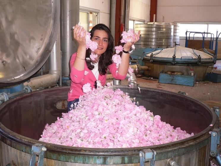 Sophie Maisant à Grasse pour la cueillette de la rose de mai chez Chanel