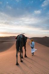 Sahara Algerie