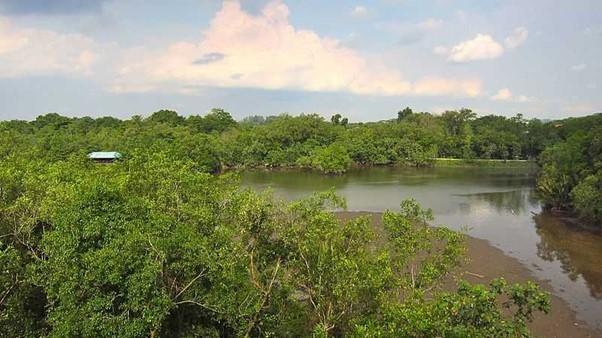 sungei buloh