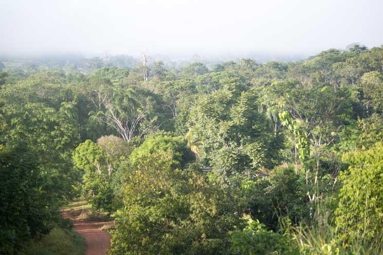 Territoire Suruí dans le Mato Grosso