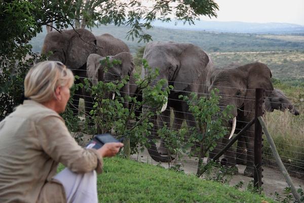 Françoise Malby Thula Thula réserve Afrique du Sud