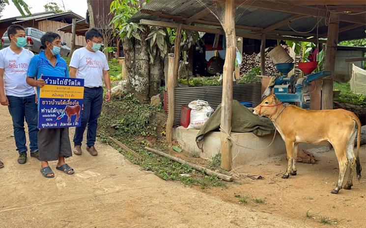 Un gagnant de la tombola de la vaccination decouvre la vache qu'il vient de gagner