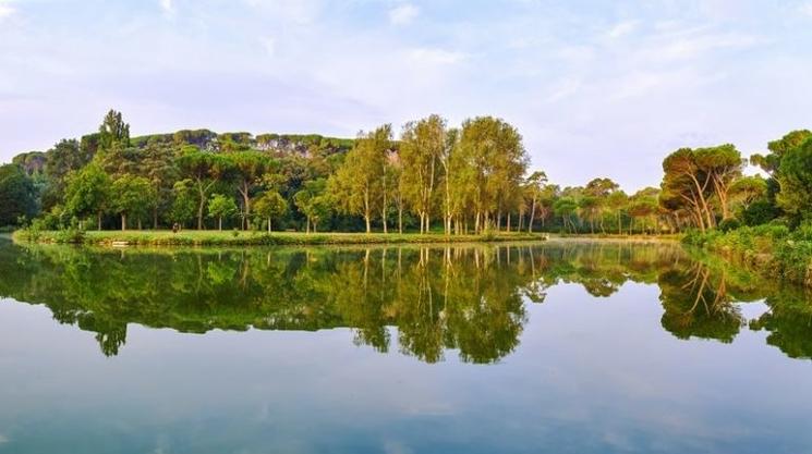 Un lac et une forêt