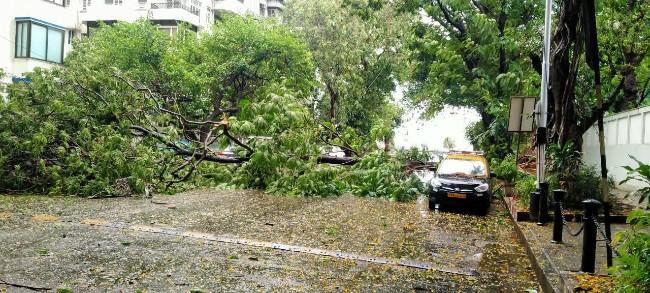 cyclone nisarga mumbai bombay