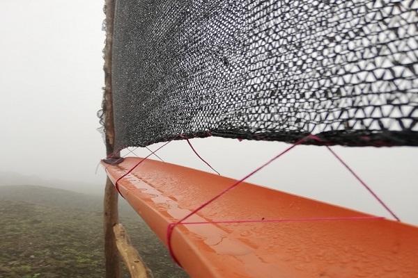 Les attrapes nuages transforment le brouillard en source de vie