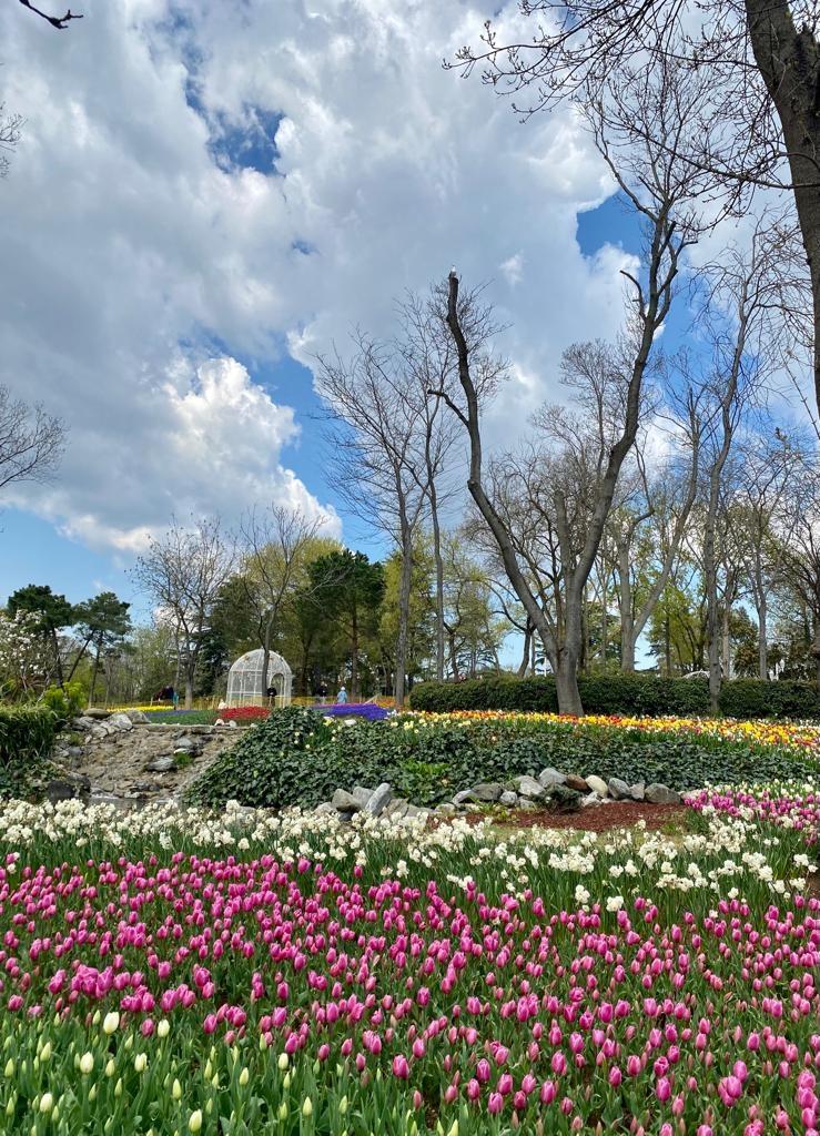 ​Dans le parc d'Emirgan tulipes