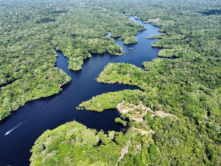 Amazonie vue du ciel près de Manaus - août 2024 