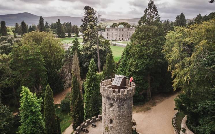 Wonder of Tress Powerscourt