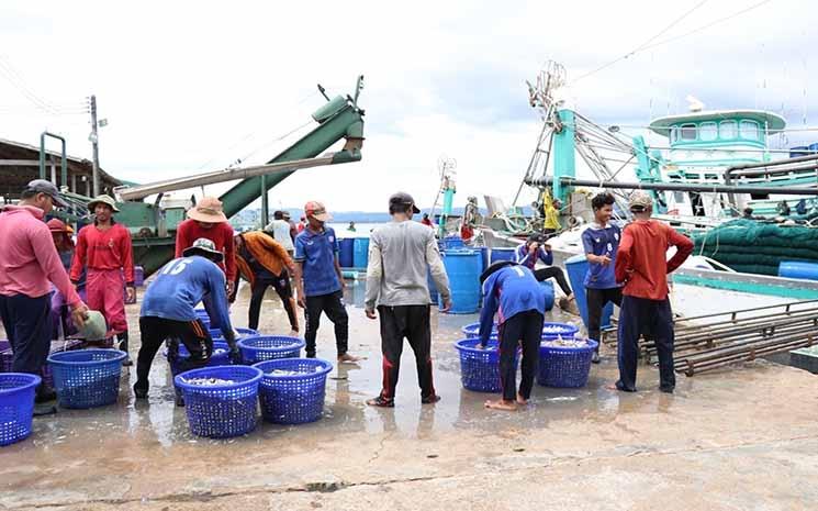 activity at the selected port of Oknha Ly Yong Phat for PSMA 