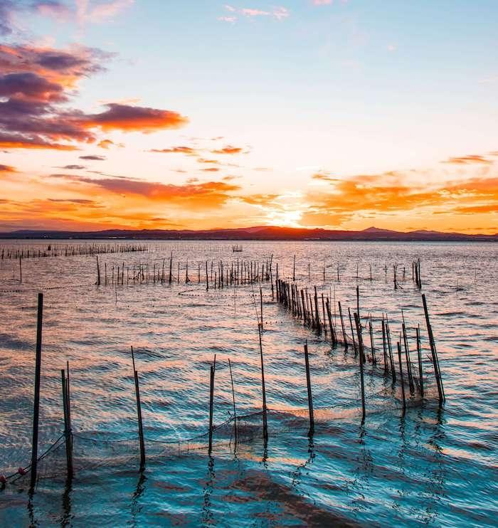 une zone de pêche délimitée par des batons dans le lac de l'Albufera lors d'un coucger de soleil