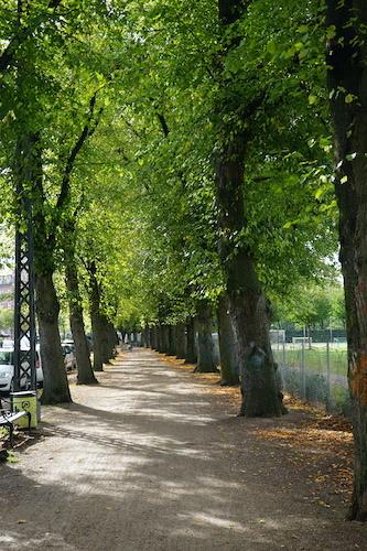 allée d'arbres longeant un parc à Nørebro