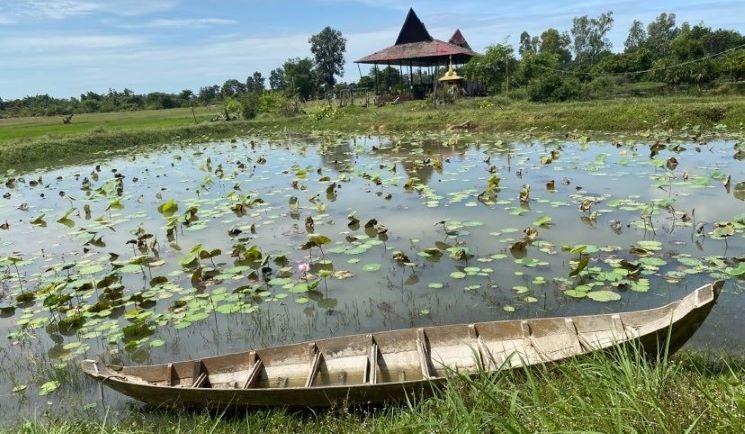 campagne Siem reap - Cambodge