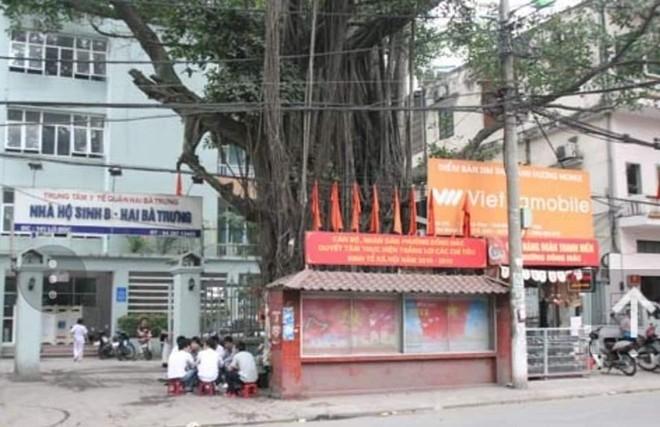 un banian devant une maternité à Hanoi 